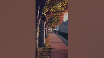 ربنا فاغفر لنا ذنوبنا وكفر عنا سيئاتنا #علي_جابر #قرآن #قران_كريم #تلاوات #تلاوة_خاشعة #تلاوة_مميزة