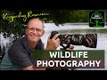 Photographing Wild Birds at Knypersley Reservoir