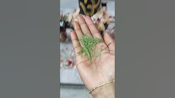 शिवलिंग पर शमी पत्र चढ़ाने का फल #pradeepmishraji #shivmahapurankatha #shivling #mhadevbhakt #shiv