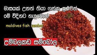 උම්බලකඩ සම්බෝල| Umbalakada sambola sinhala|Maldive Fish Sambol |Umbalakada sambol l My easy recipes
