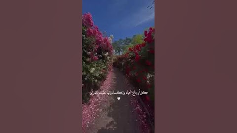 ارح قلبك القرآن الكريم