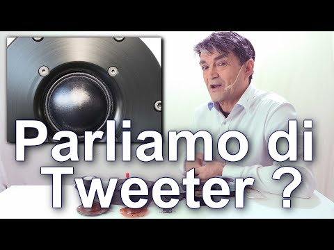 Cosa è il Tweeter? In HiFi il Tweeter non è un Social ma riproduce le alte frequenze in un diffusore