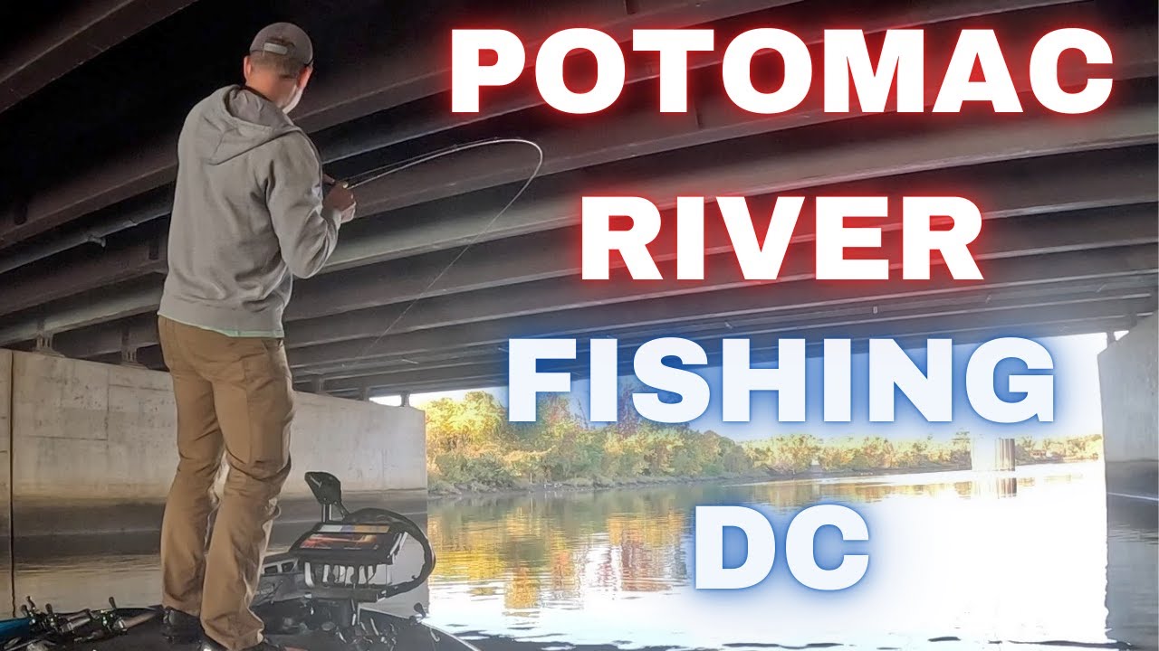 BIGGEST Bass Fishing Secrets Under Washington DC Bridges!