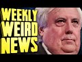 YouTuber Sued By Rich Idiot A**hole Nobody Likes - Weekly Weird News