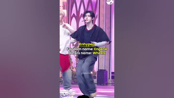 Kpop groups fandom name vs haters name￼