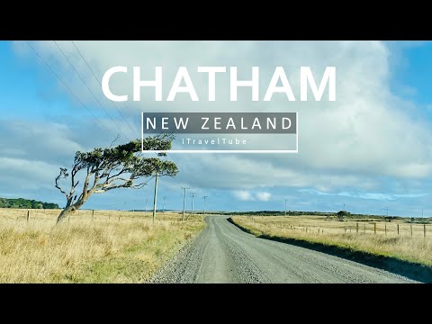 Video: Můžete letět na chathamské ostrovy?