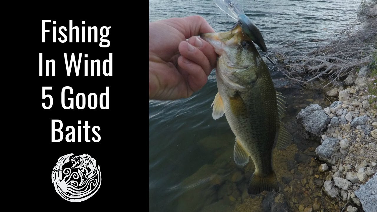 Fishing in Wind 5 Good Baits to Catch Bass! YouTube