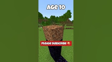 Building Nether Portals at different ages 😂 #shorts #minecraft