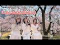 【 長野県 】天下第一と呼ばれる桜を見に行こう🌸満開の高遠城址公園｜女子3人旅