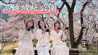 【 長野県 】天下第一と呼ばれる桜を見に行こう🌸満開の高遠城址公園｜女子3人旅
