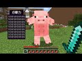 【マインクラフト😜】最強の動物から逃げて牧場から脱出せよ！「逆へんしん鬼ごっこ」【マイクラMOD実況】