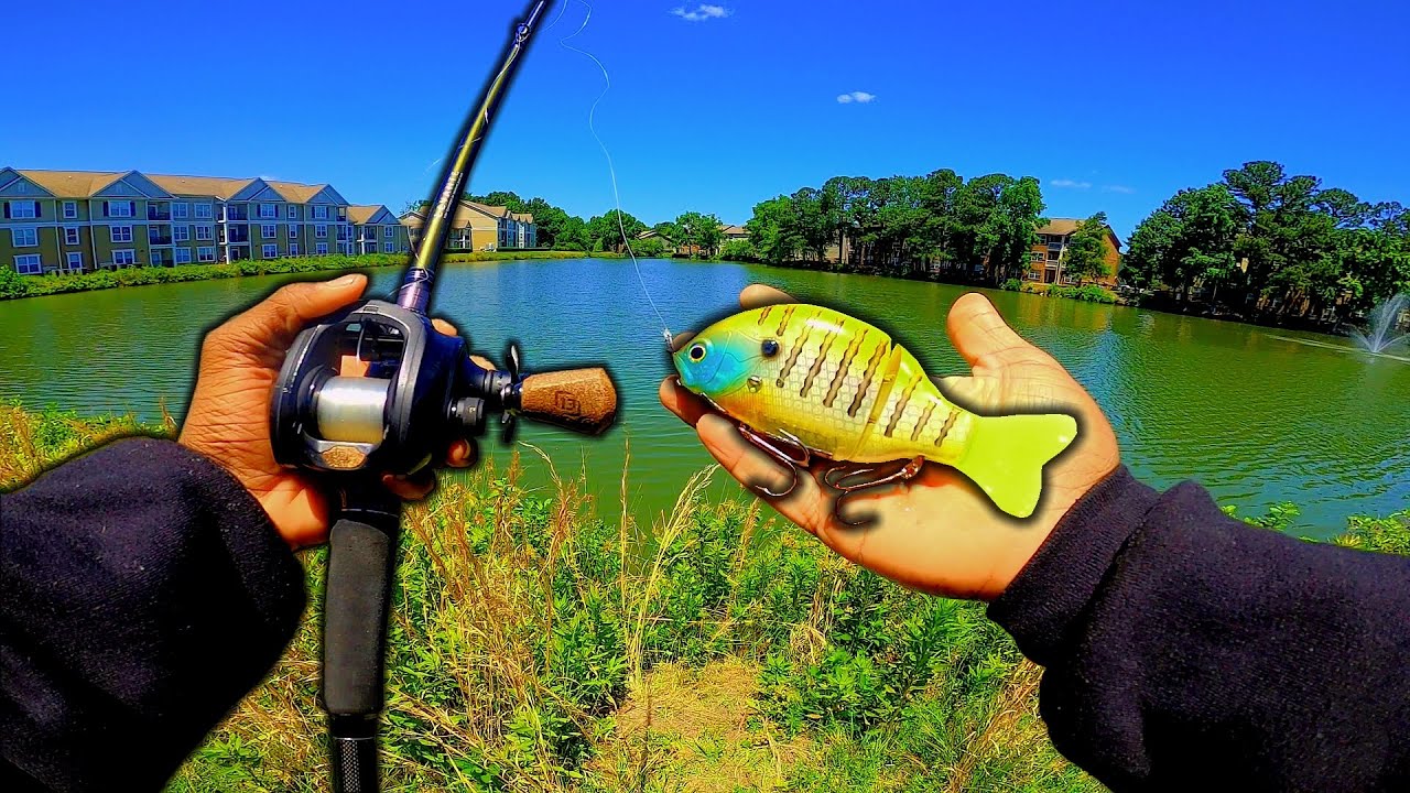 Bass eat bluegills [Swimbait fishing] YouTube