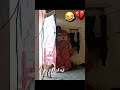 مواقف مضحكه للحيوانات اغرب لقطات الحيوانات مع البشر مواقف مضحكه ضحك حيوانات اليفة 