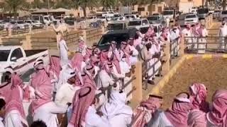 السعودية شاهد أكبر سوق للابل في العالم