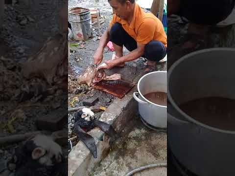 Kuliner Kepala Kambing di Madinah NET 12 Doovi Kuliner Kepala Kambing di Madinah NET 12 Doovi