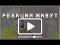 РЕАКЦИИ ЖИВУТ ВИНДЯЙ, поёт @evakomori5090