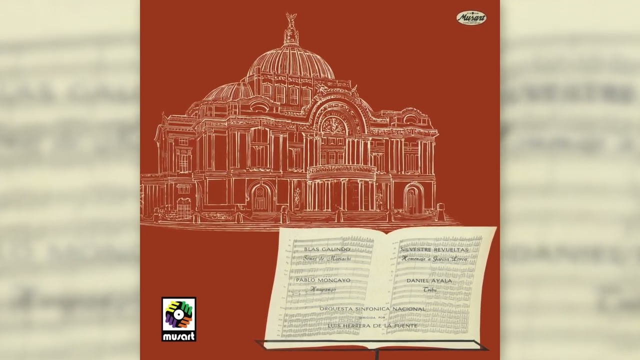 Orquesta Sinfónica Nacional – Huapango (Visualizador Oficial)