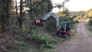 Fecon Mulcher Takeuchi TB260 Excavator