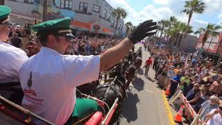 Riding with the Budweiser Clydesdales during Daytona Bike Week