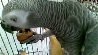 18042010.mp4