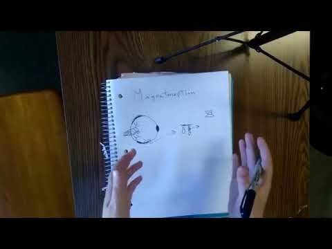 Magnetorception (The ways birds can sense direction)