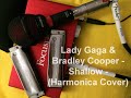 Lady Gaga & Bradley Cooper   "Shallow" Harmonica Cover