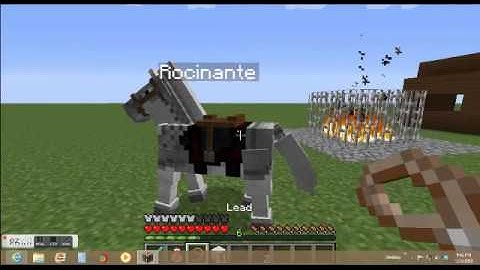 Don Quixote Animation!