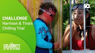 Download Lagu Tina And Harrison Take On An Icy Challenge ❄️ | I'm A Celebrity... Get Me Out Of Here! Australia MP3 Download Lagu Tina And Harrison Take On An Icy Challenge ❄️ | I'm A Celebrity... Get Me Out Of Here! Australia MP3