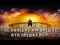 Палестина - Израиль война//Ситуция с украинцами и русскими поддерживающие  Израильский режим