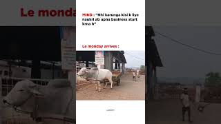 Every Monday, corporate employee situation. #corporate #corporatelife #corporatememes