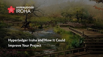 HL Iroha. What you need to know to start