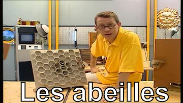 Comment les abeilles fabriquent la gelée royale ?