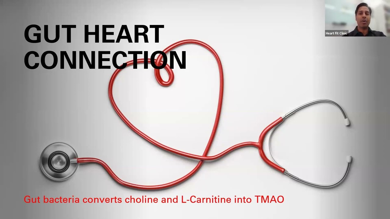 best acetyl-l-carnitine supplement Trimethylamine N-oxide (TMAO): Pathway, Cardiovascular Risk, Diet &  LC–MS/MS Testing