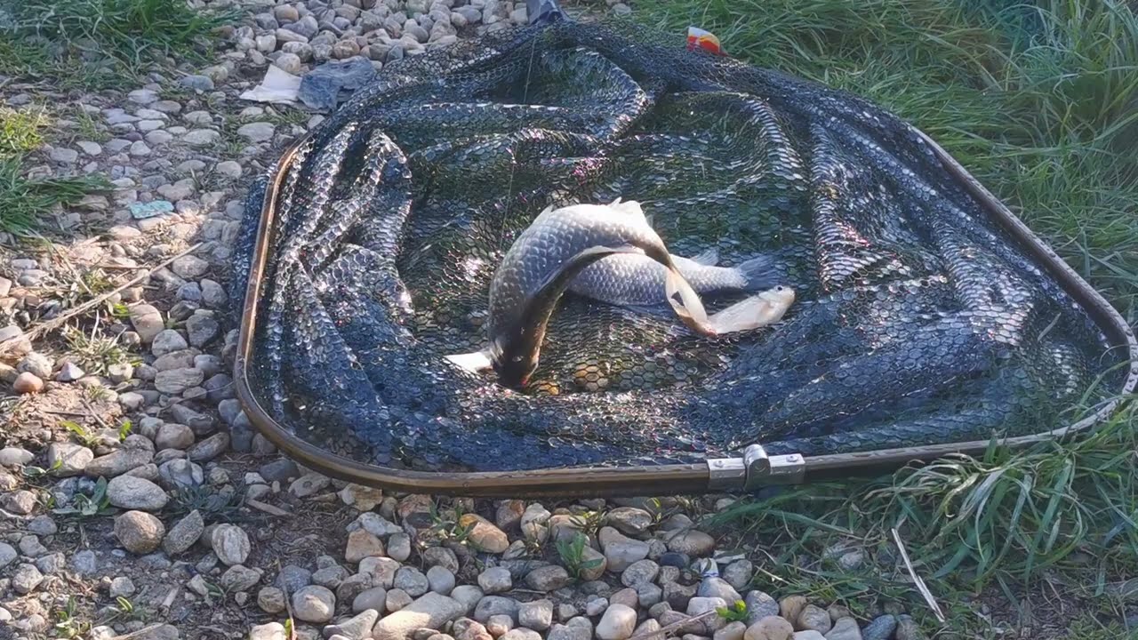 Pescuit "La Lighean"