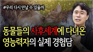 먼저 떠난 반려동물은 사후세계에서 당신을 기다리고 있다 | 동물들의 사후세계에 다녀온 영능력자의 실제 체험담 (영적 스승이 알려준 반려동물의 사후세계 이야기)