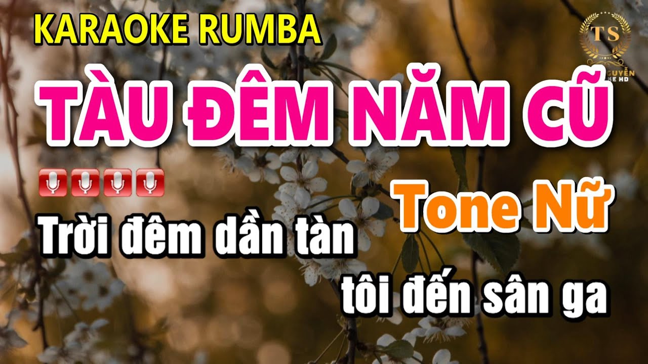Karaoke Tàu Đêm Năm Cũ Tone Nữ | Sinh Nguyễn Karaoke | Dễ Hát