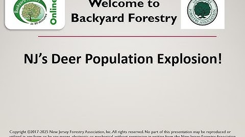 BYF - November 2025 - NJ