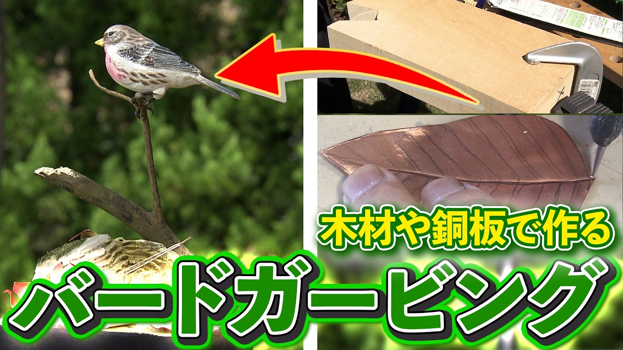 Amazing! Lifelike bird ornaments carved from wood! A look into the