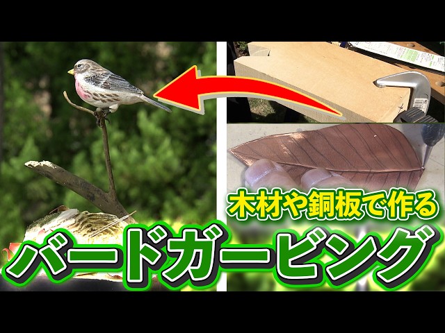 Amazing! Lifelike bird ornaments carved from wood! A look into the