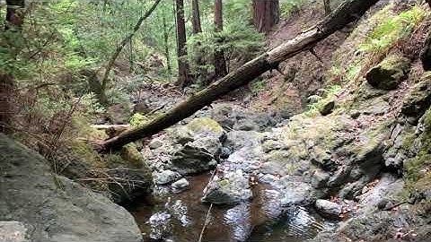 Motionlapse DJI  OM 4