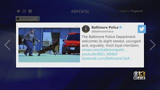 Baltimore Police Welcome Eight K9's To The Force