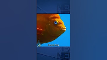 Tại sao thợ lặn lại bẻ vài con nhím biển cho cá ăn khi thu hoạch? #shorts