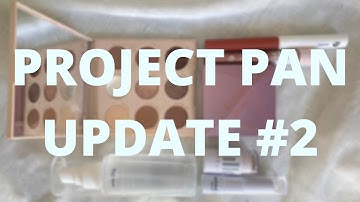 Project Pan Update #2 And a New Shop My Stash Rotation | I’m Back on YouTube After 6 Weeks Off!