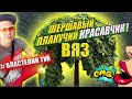 ВЯЗ ШЕРШАВЫЙ. ПЛАКУЧЕЕ ДЕРЕВО на штамбе. КАК ОБРЕЗАТЬ и сформировать @VLASTELIN_MINSK .Вяз Кампердоуни