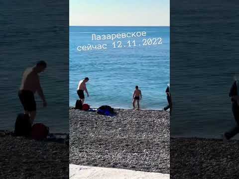 Лазаревское сейчас, 12.11.2022. Купаются. #shorts  #сочи  #лазаревское  #море