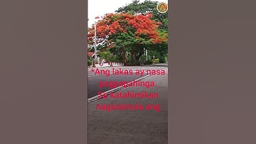 Stop.. Rust.. Overleef..