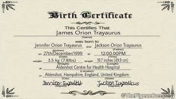 Proof i am definitely 23½ years old.