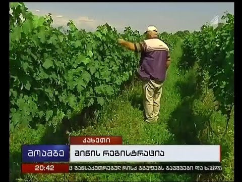 მთავრობის გადაწყვეტილება მაღალმთიან რეგიონებში მიწების რეგისტრაციის შესახებ