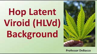 Hop Latent Viroid HLVd Background