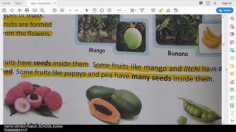 class 1 science chapter 7 our plant world part Q&A